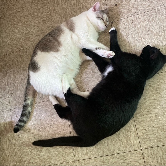 💕TRADE💕 - Picture 11 of 13